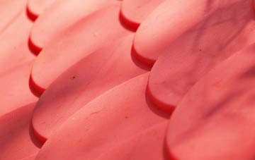 Pallington plastic roof costs