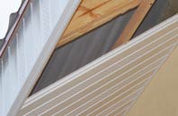 rated Pallington soffit repair companies